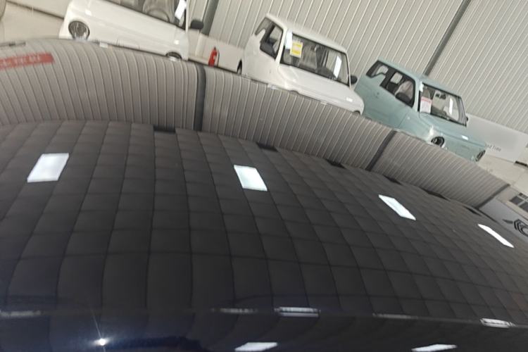Used Leapmotor T03 2020 400 Lite Edition Roof