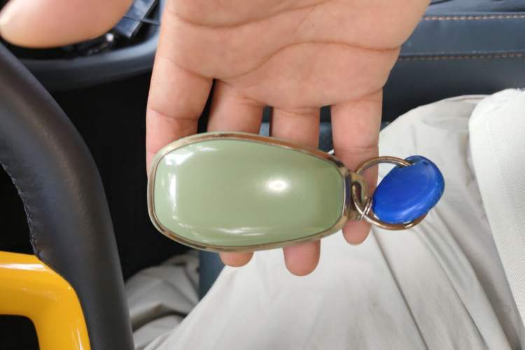 Used Leapmotor T03 2020 400 Luxury Edition Vehicle Key