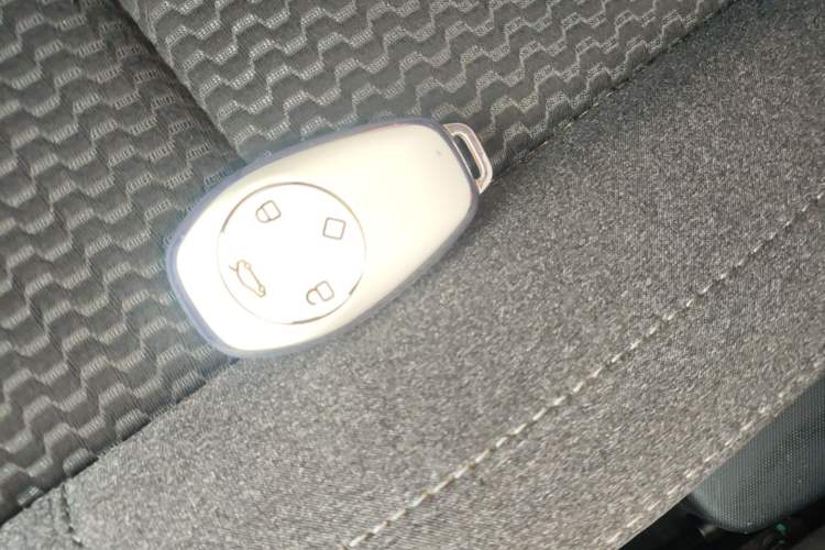 Used Leapmotor T03 2020 400 Lite Edition Vehicle Key