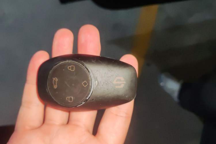 Used Leapmotor T03 2020 400 Lite Edition Vehicle Key