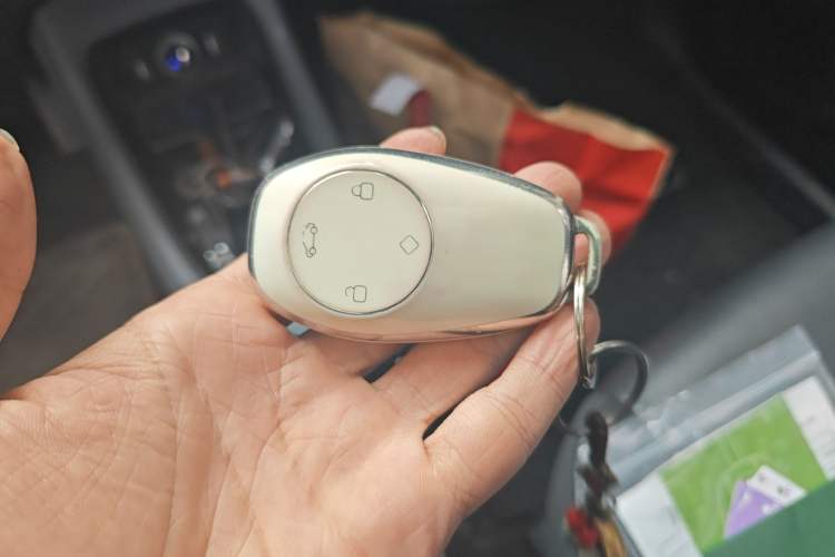 Used Leapmotor T03 2020 400 Luxury Edition Vehicle Key