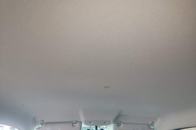 Used Leapmotor T03 2020 400 Lite Edition Headliner