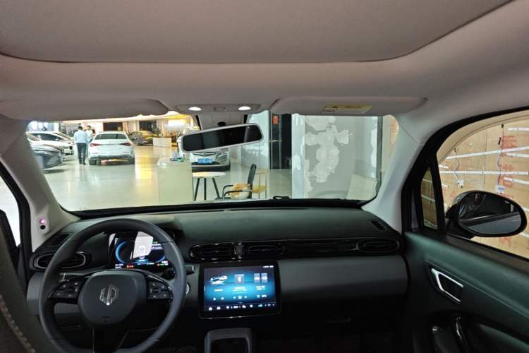 Used Leapmotor T03 2020 400 Luxury Edition Headliner