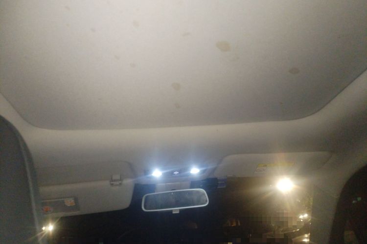 Used Leapmotor T03 2020 400 Luxury Edition Headliner