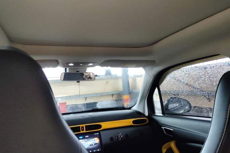 Used Leapmotor T03 2020 400 Luxury Edition Headliner