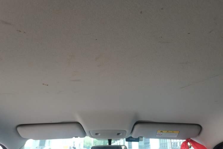 Used Leapmotor T03 2020 400 Lite Edition Headliner