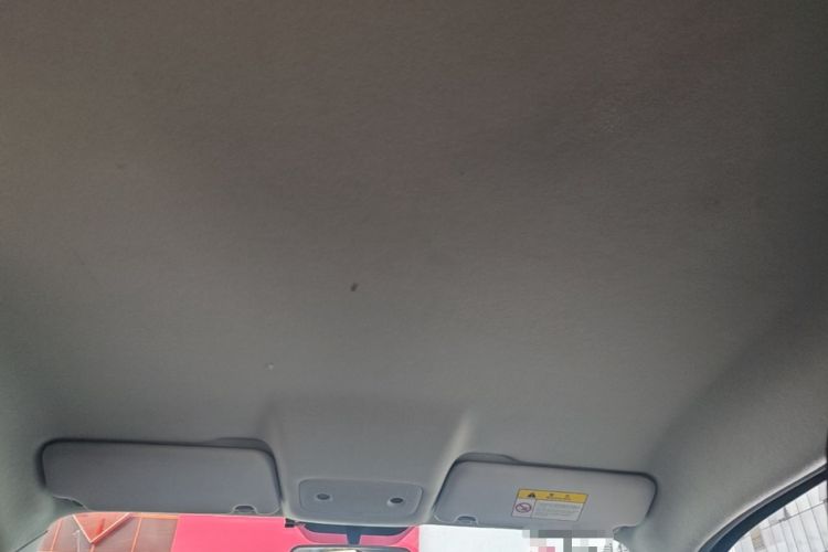 Used Leapmotor T03 2020 400 Standard Edition Headliner