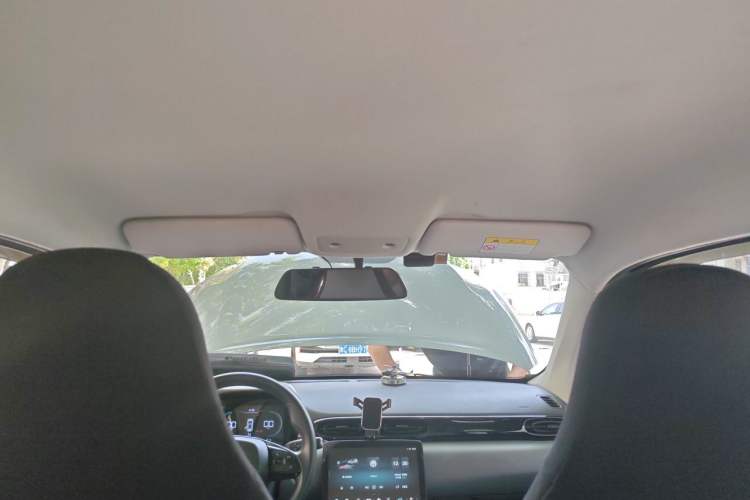 Used Leapmotor T03 2020 400 Standard Edition Headliner
