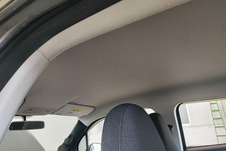 Used Leapmotor T03 2020 400 Lite Edition Headliner