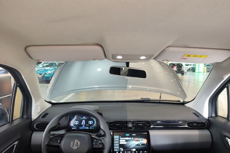 Used Leapmotor T03 2020 400 Lite Edition Headliner