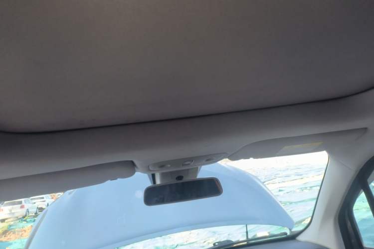 Used Leapmotor T03 2020 400 Luxury Edition Headliner