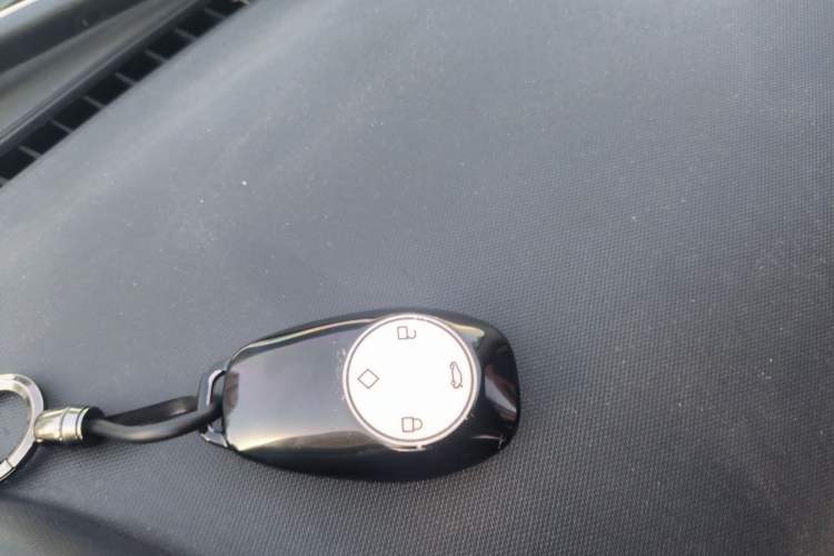 Used Leapmotor T03 2020 400 Luxury Edition Interior 1
