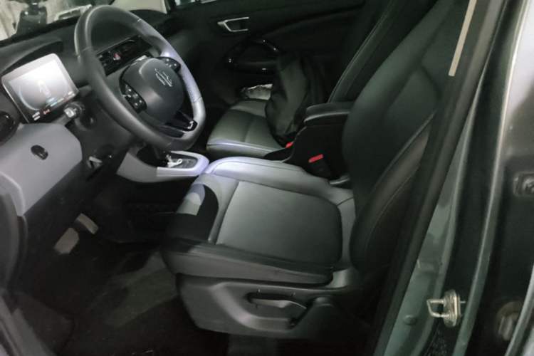 Used Leapmotor T03 2020 400 Luxury Edition Left Front Seat