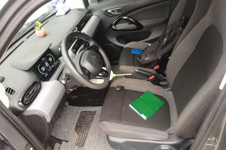 Used Leapmotor T03 2020 400 Lite Edition Left Front Seat