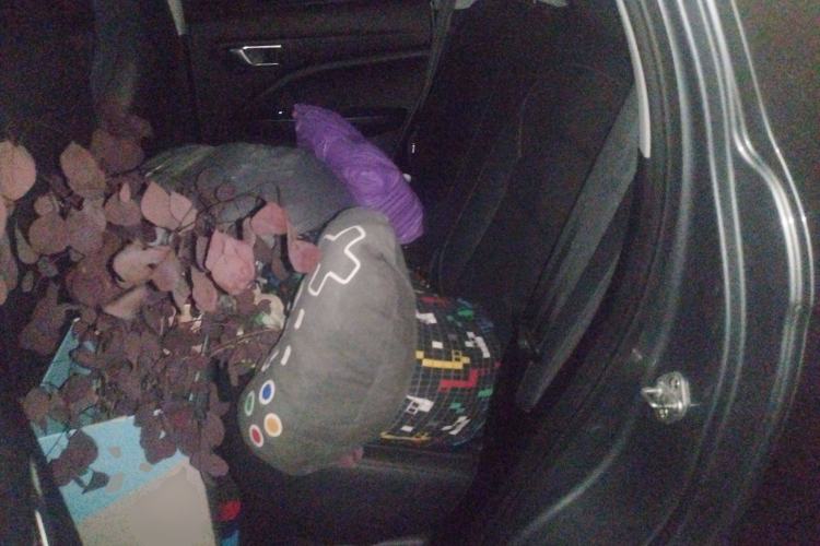 Used Leapmotor T03 2020 400 Luxury Edition Left Rear Seat