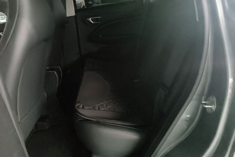 Used Leapmotor T03 2020 400 Luxury Edition Left Rear Seat