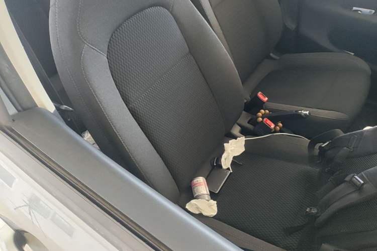 Used Leapmotor T03 2020 400 Lite Edition Right Front Seat