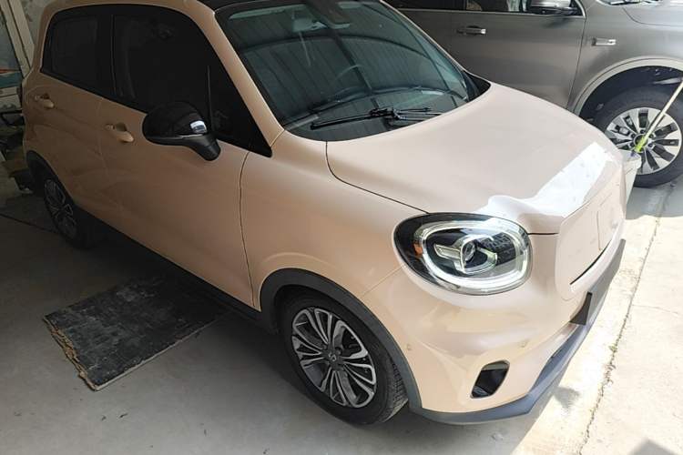 Used Leapmotor T03 2020 400 Luxury Edition Exterior 1