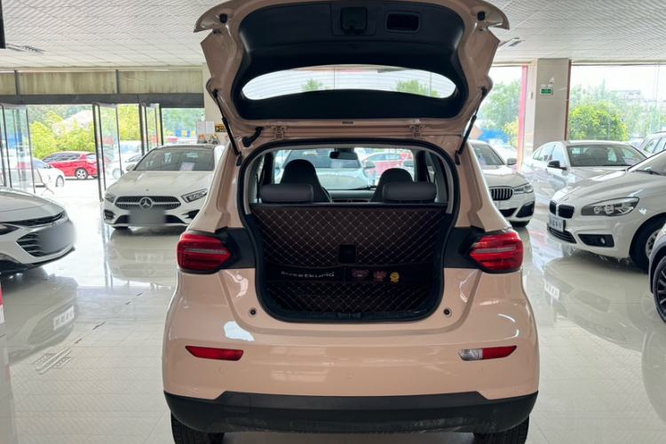 Used Leapmotor T03 2020 400 Luxury Edition Exterior 11