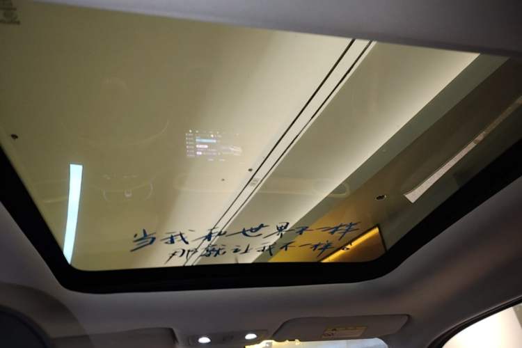 Used Leapmotor T03 2020 400 Luxury Edition Headliner