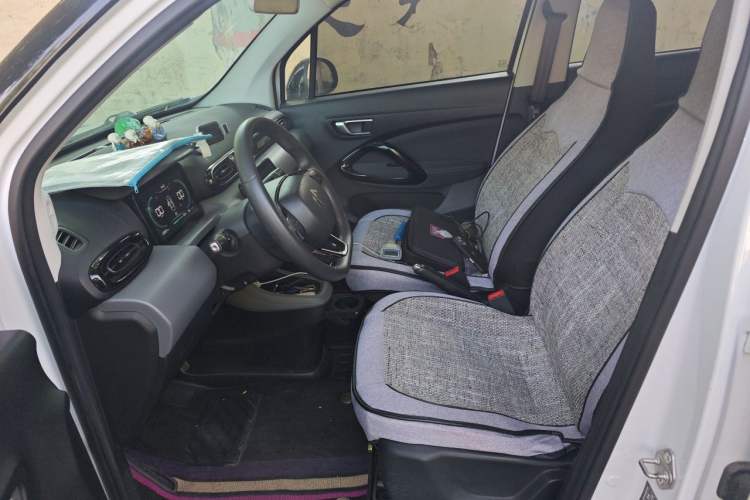 Used Leapmotor T03 2020 400 Lite Edition Left Front Seat