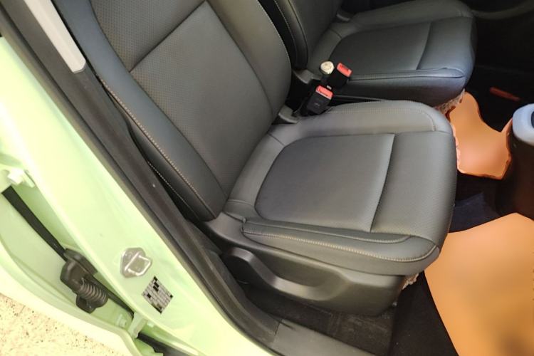 Used Leapmotor T03 2020 400 Luxury Edition Right Front Seat