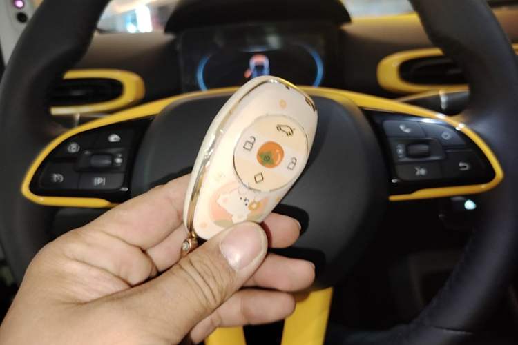 Used Leapmotor T03 2020 400 Luxury Edition Vehicle Key
