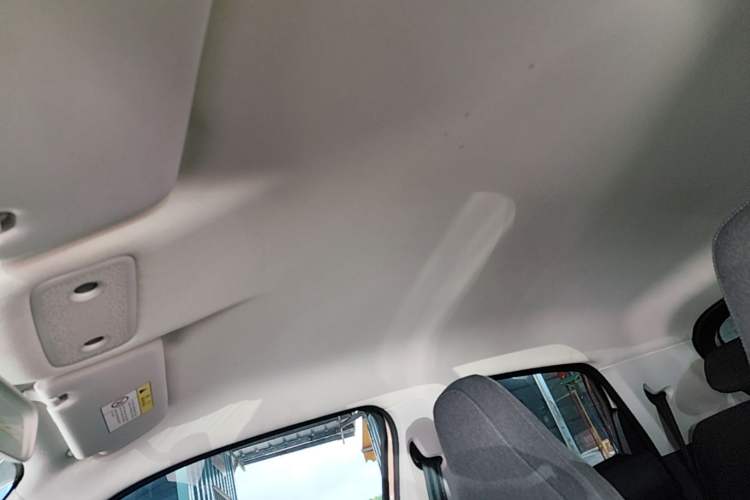 Used Leapmotor T03 2020 400 Lite Edition Headliner