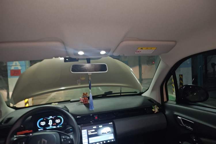 Used Leapmotor T03 2020 400 Lite Edition Headliner