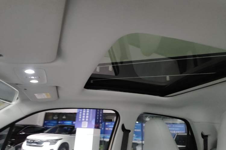 Used Leapmotor T03 2020 400 Luxury Edition Headliner