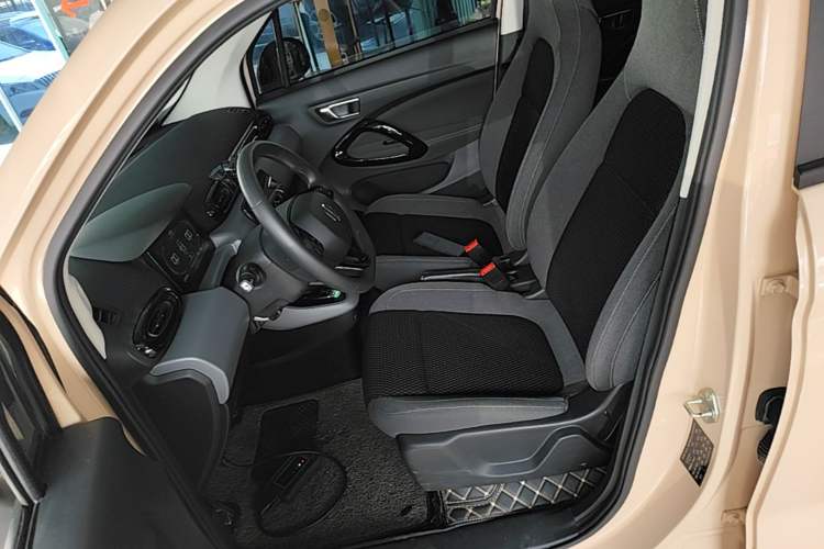 Used Leapmotor T03 2020 400 Lite Edition Left Front Seat