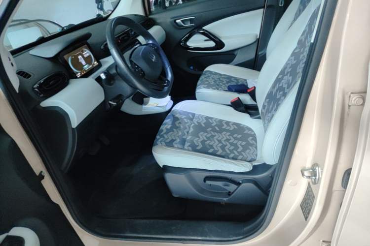Used Leapmotor T03 2020 400 Luxury Edition Left Front Seat