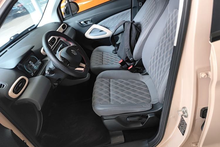 Used Leapmotor T03 2020 400 Luxury Edition Left Front Seat