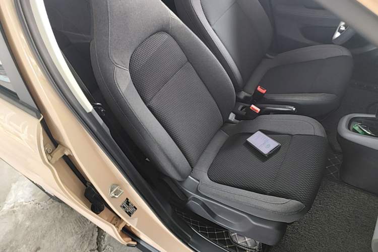 Used Leapmotor T03 2020 400 Lite Edition Right Front Seat
