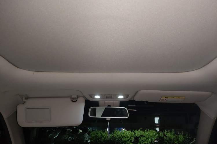 Used Leapmotor T03 2020 400 Luxury Edition Headliner