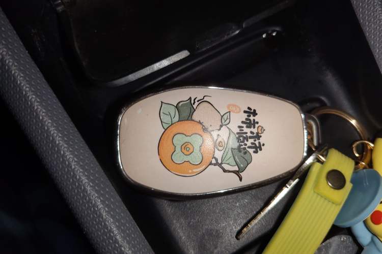 Used Leapmotor T03 2020 400 Luxury Edition Vehicle Key