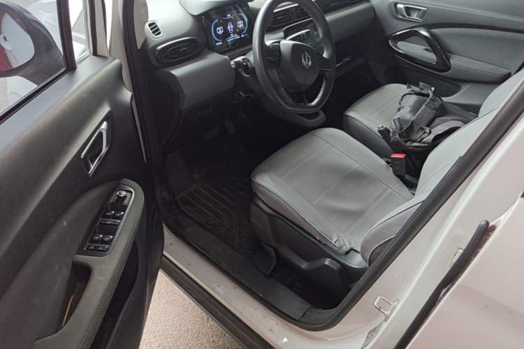 Used Leapmotor T03 2020 400 Lite Edition Driver Seat