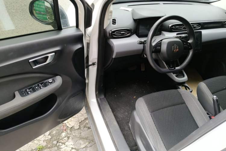 Used Leapmotor T03 2020 400 Lite Edition Driver Seat