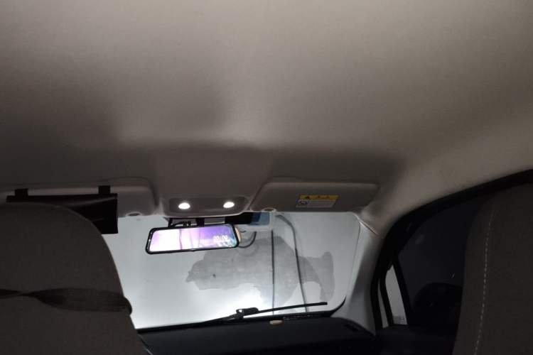Used Leapmotor T03 2020 400 Lite Edition Headliner