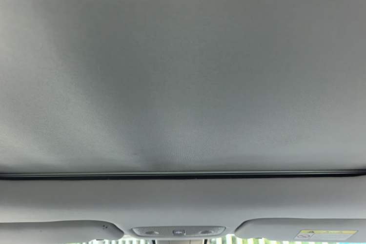 Used Leapmotor T03 2020 400 Luxury Edition Headliner
