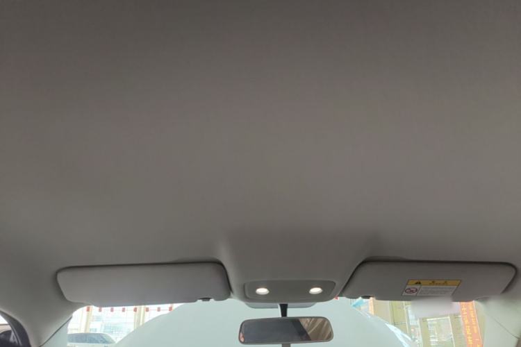 Used Leapmotor T03 2020 400 Lite Edition Headliner