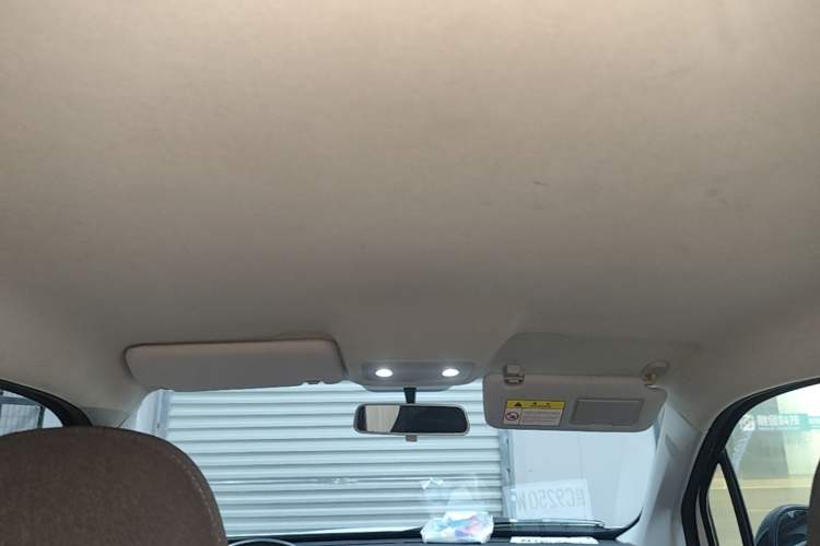Used Leapmotor T03 2020 400 Lite Edition Headliner