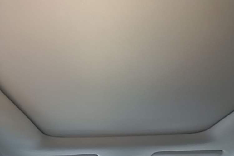 Used Leapmotor T03 2020 400 Luxury Edition Headliner