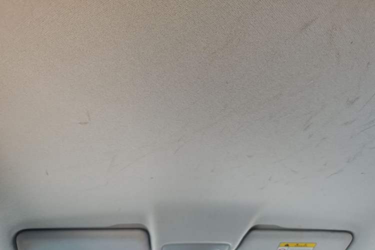 Used Leapmotor T03 2020 400 Lite Edition Headliner