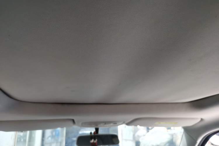 Used Leapmotor T03 2020 400 Comfort Edition Headliner