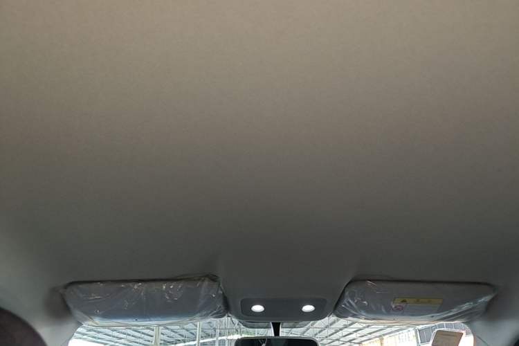 Used Leapmotor T03 2020 400 Lite Edition Headliner