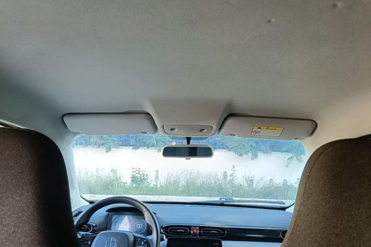 Used Leapmotor T03 2020 400 Lite Edition Headliner