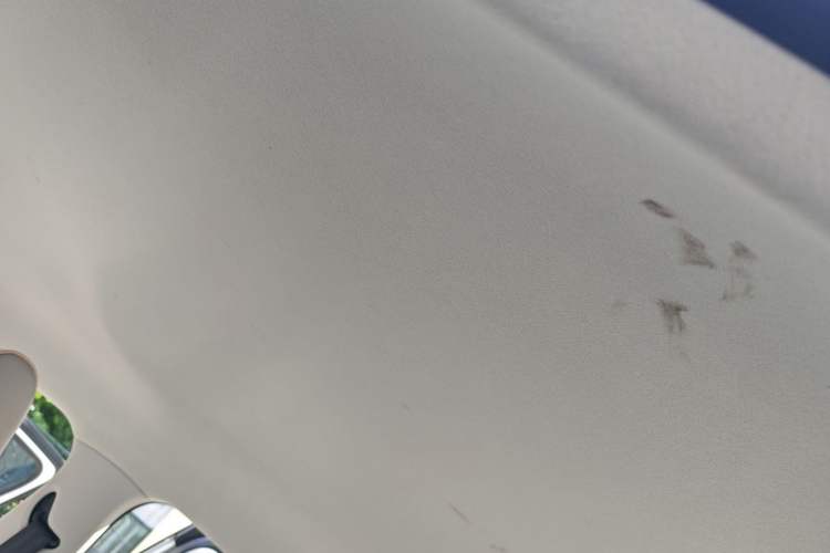 Used Leapmotor T03 2020 400 Lite Edition Headliner