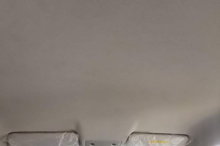 Used Leapmotor T03 2020 400 Lite Edition Headliner