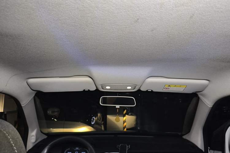 Used Leapmotor T03 2020 400 Lite Edition Headliner